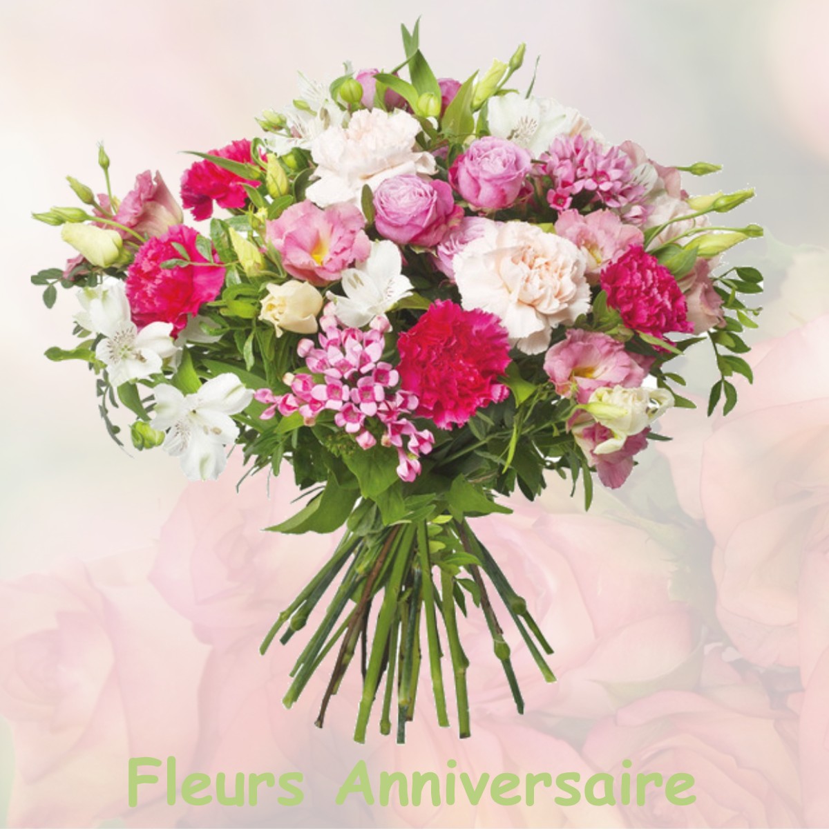 fleurs anniversaire VILLIERS-SOUS-PRASLIN